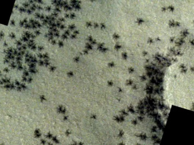Гнездо "пауков" засняли в "городе инков" на Марсе