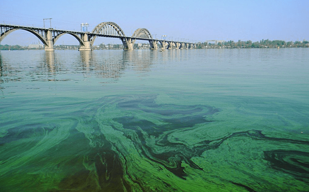 Река днепр океан. Загрязнение реки Днепр. Река Днепр на Украине. Зеленая Волга река. Цветение воды.