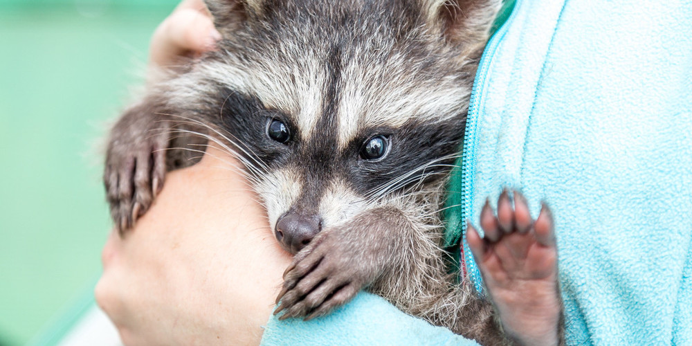 Медленно, но верно