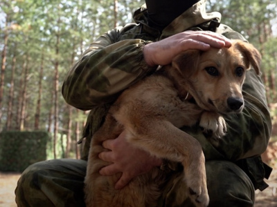 Героическая собака спасла российских военных от засады ВСУ