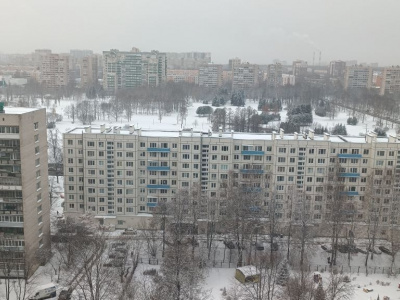Михайловские морозы ударят по Петербургу