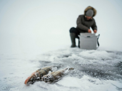 Безопасная зимняя рыбалка: советы для успешного улова и сохранности