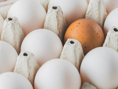 Новая торговля в РФ: снижение стоимости куриных яиц в 35 регионах