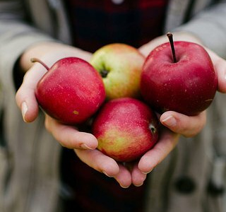 Россиян предупредили о вреде яблок: раньше этого не знали