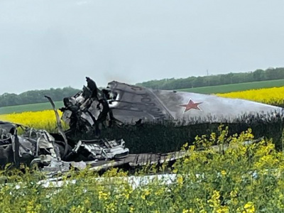 Опубликованы кадры с места падения самолета в Ставрополье