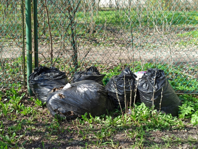 В Ленобласти незаконно сбросили в карьер ядовитые отходы