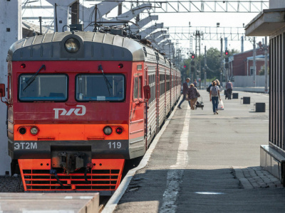 Электричка насмерть сбила кабана в Курортном районе