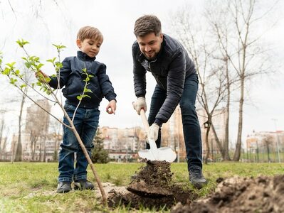 Как посадить дерево в городском дворе: малоизвестные нюансы